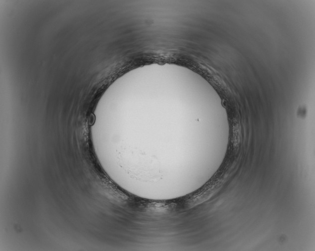 X0000094070613200711161548