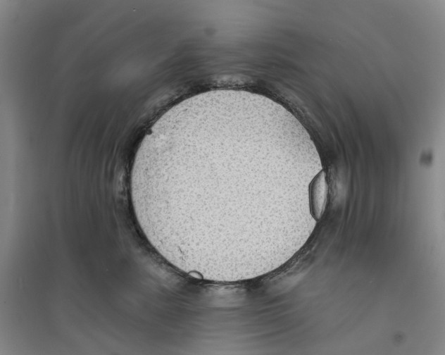 X0000094070619200711161548