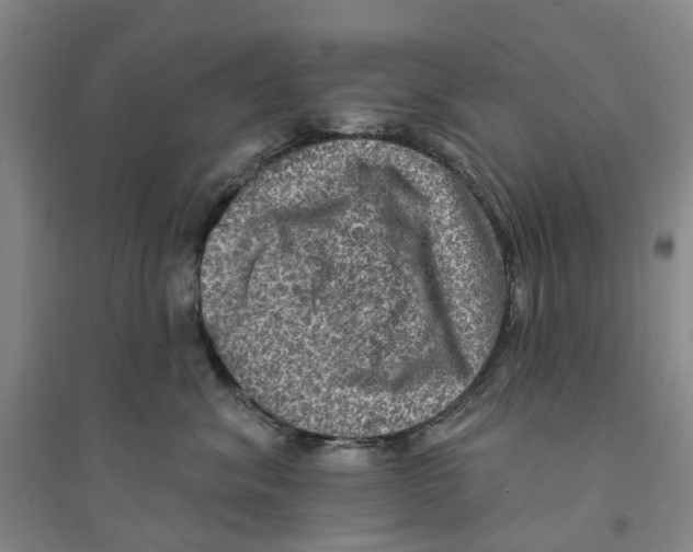 X0000094070620200711161548