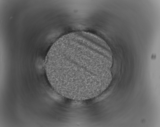 X0000094070624200711161548