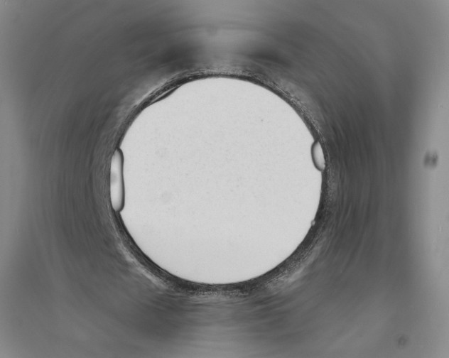 X0000094070625200711161548