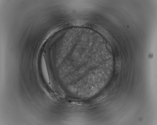 X0000094070626200711161548