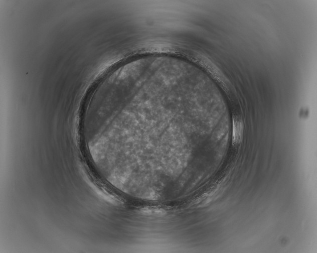 X0000094070627200711161548