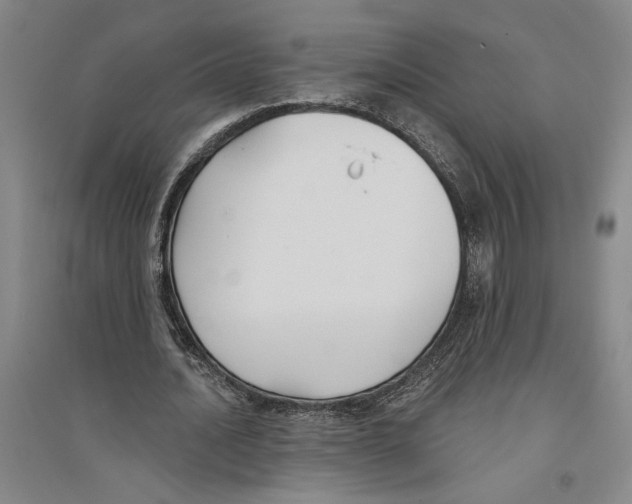 X0000094070628200711161548