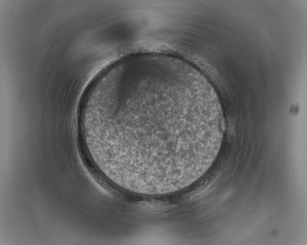 X0000094070630200711161548