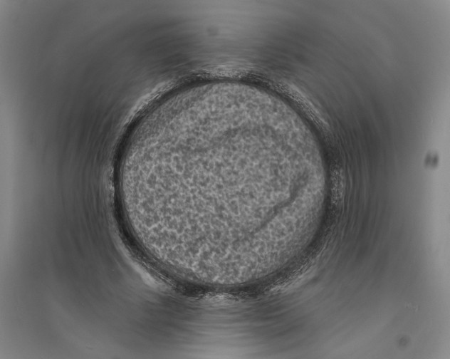 X0000094070634200711161548