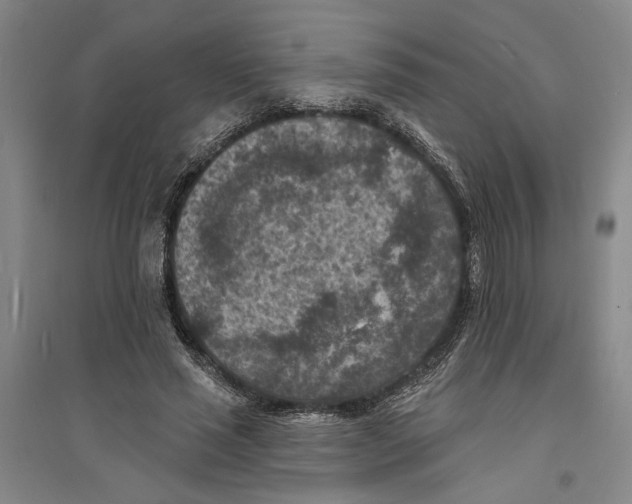 X0000094070637200711161548