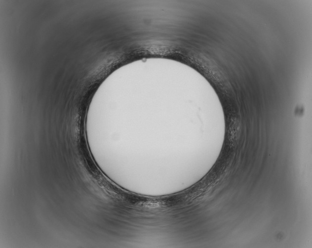 X0000094070639200711161548