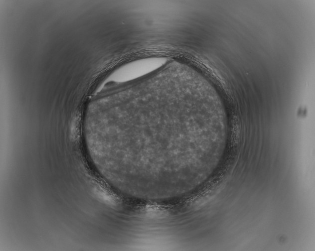 X0000094070641200711161548