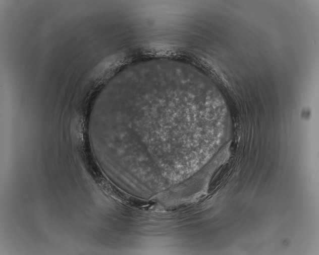 X0000094070643200711161548