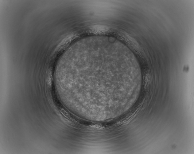 X0000094070644200711161548