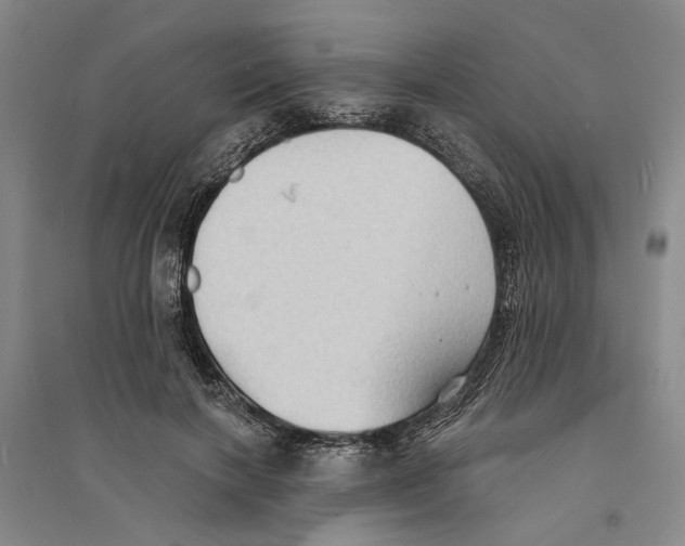 X0000094070646200711161548