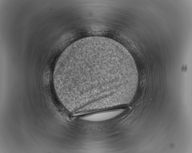 X0000094070647200711161548