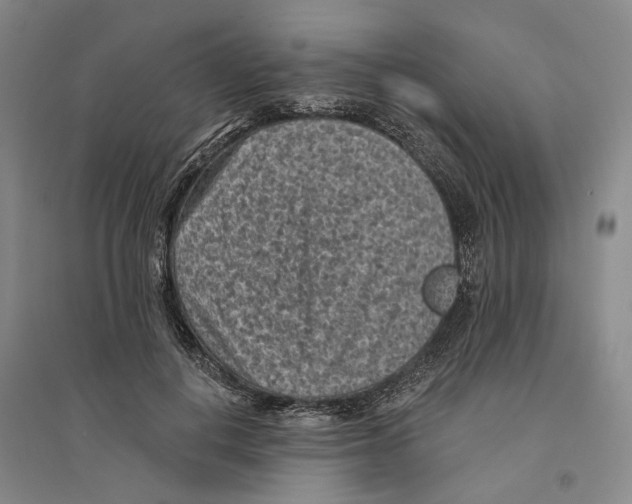 X0000094070648200711161548