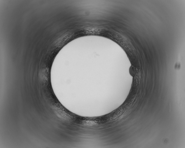 X0000094070649200711161548