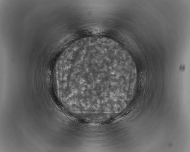X0000094070650200711161548