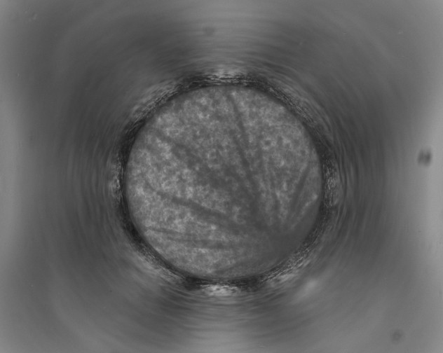 X0000094070654200711161548