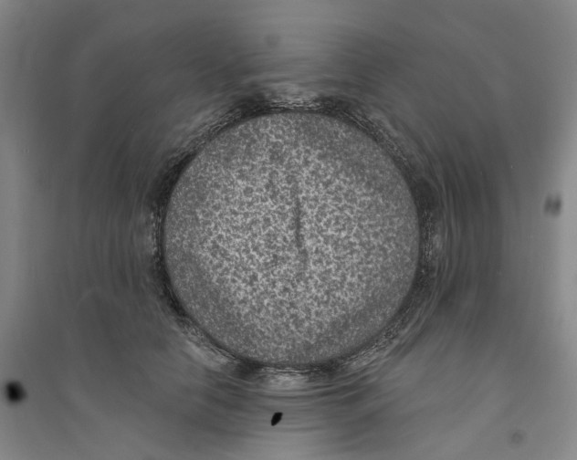X0000094070658200711161548