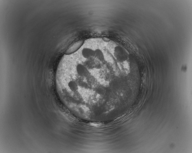 X0000094070659200711161548