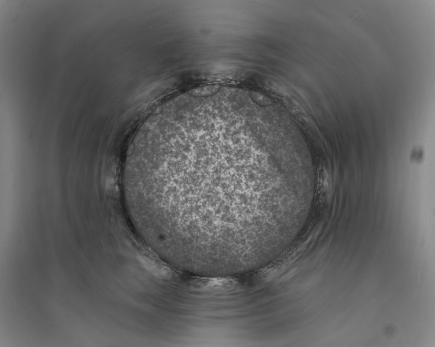 X0000094070663200711161548