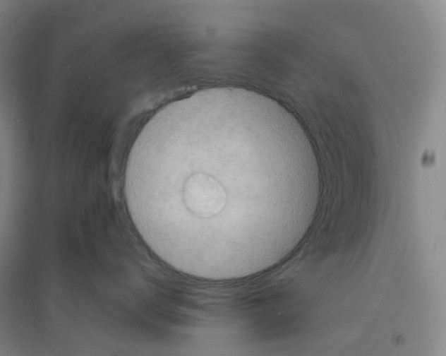 X0000094070672200711161548