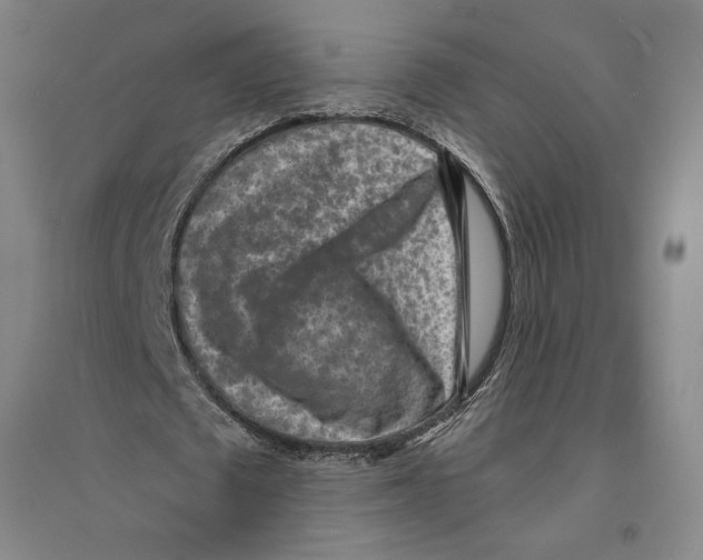 X0000094070673200711161548