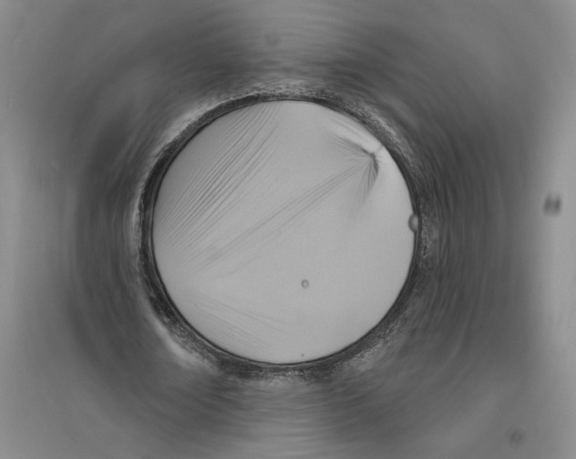 X0000094070674200711161548