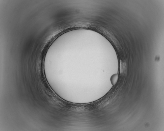 X0000094070675200711161548