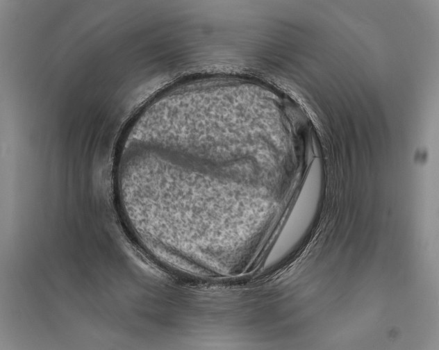 X0000094070677200711161548