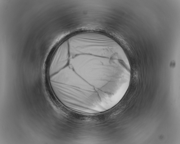 X0000094070678200711161548