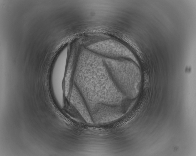 X0000094070681200711161547