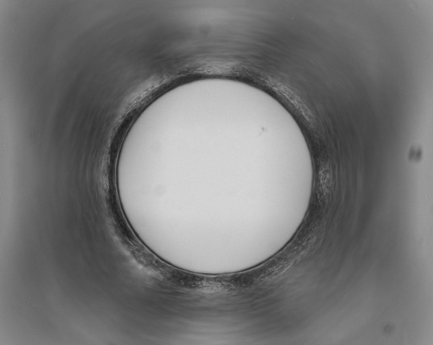 X0000094070682200711161547