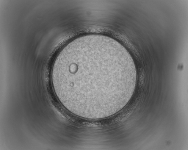 X0000094070683200711161547