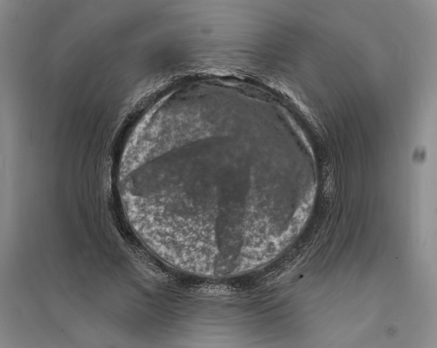 X0000094070685200711161547