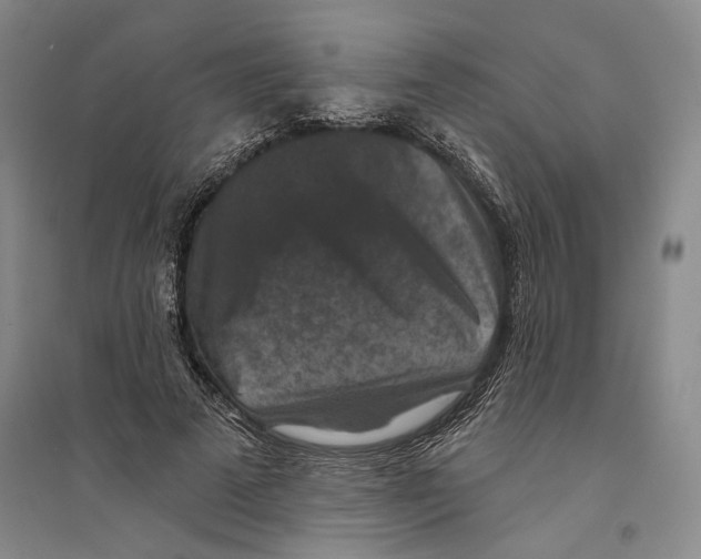 X0000094070689200711161547
