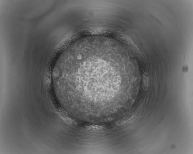X0000094070691200711161547