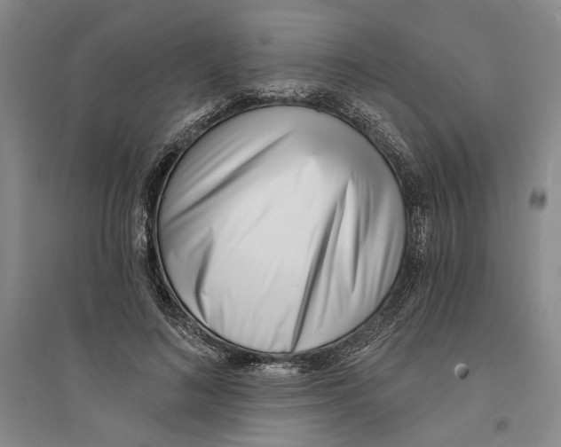 X0000094070692200711161547