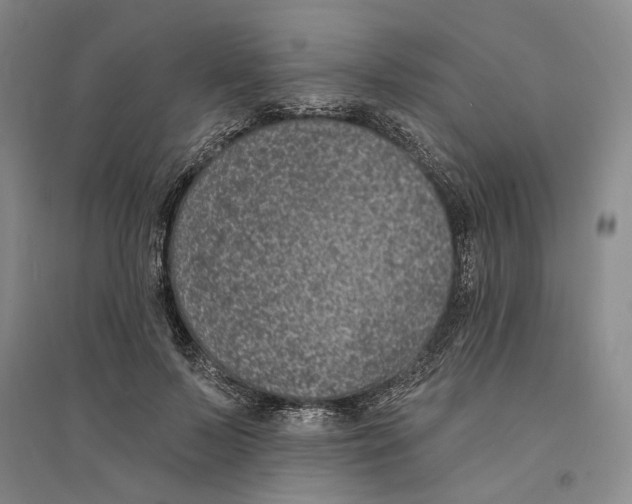 X0000094070695200711161547