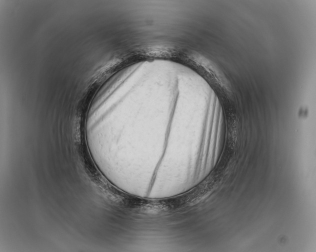 X0000094070696200711161547