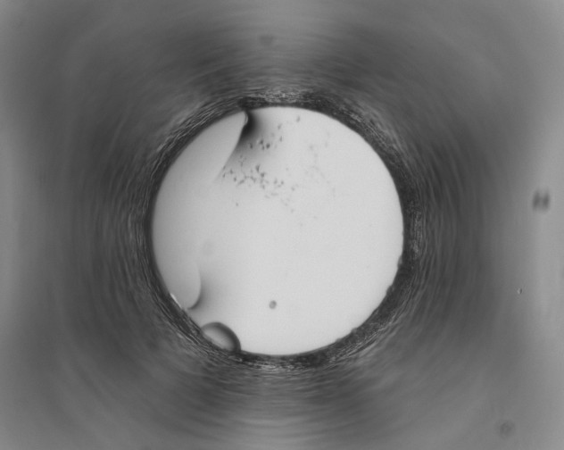 X0000094070697200711161547