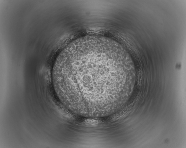 X0000094070699200711161547