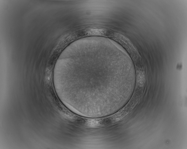 X0000094070701200711161547