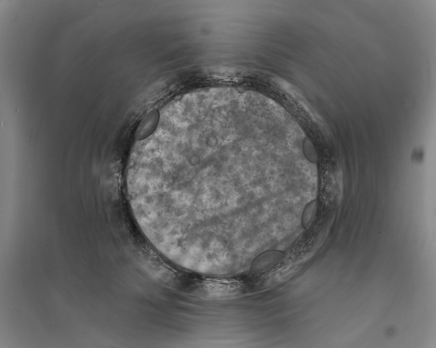 X0000094070707200711161547