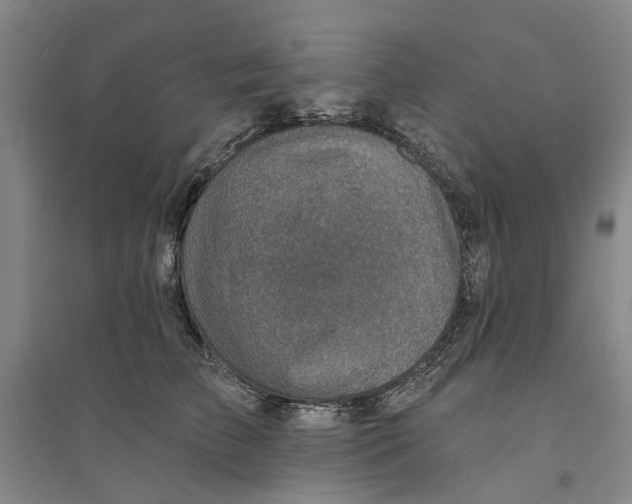 X0000094070709200711161547