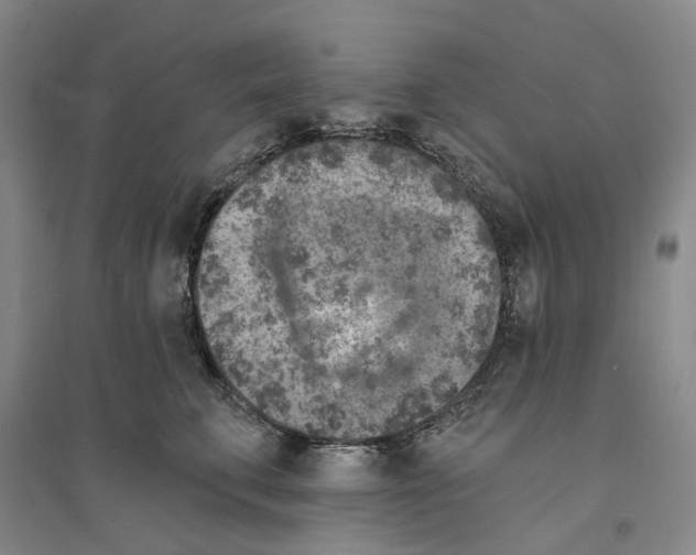 X0000094070711200711161547