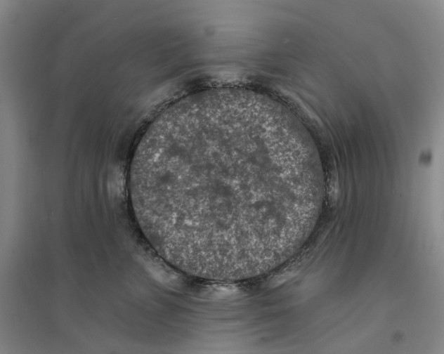 X0000094070715200711161547