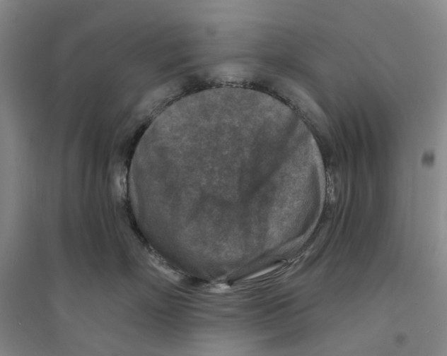 X0000094070718200711161547