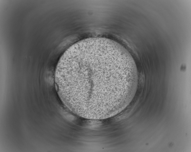 X0000094070719200711161547