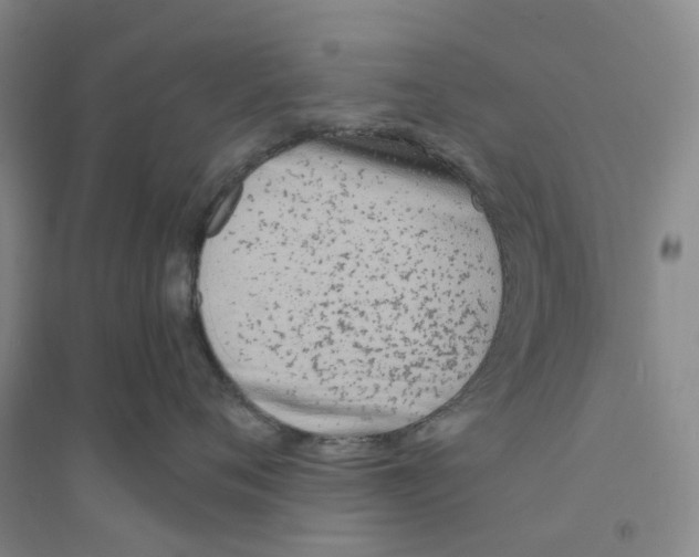 X0000094070720200711161547
