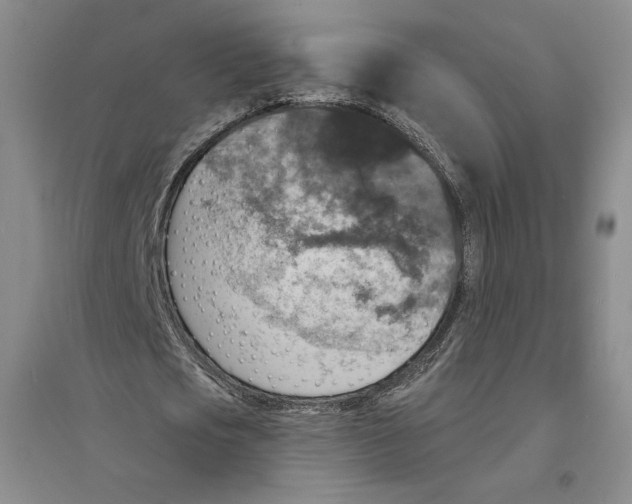 X0000094070721200711161546